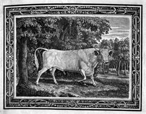 Thomas Bewick