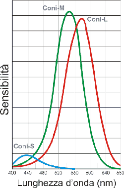 sensibilità cromatica schema